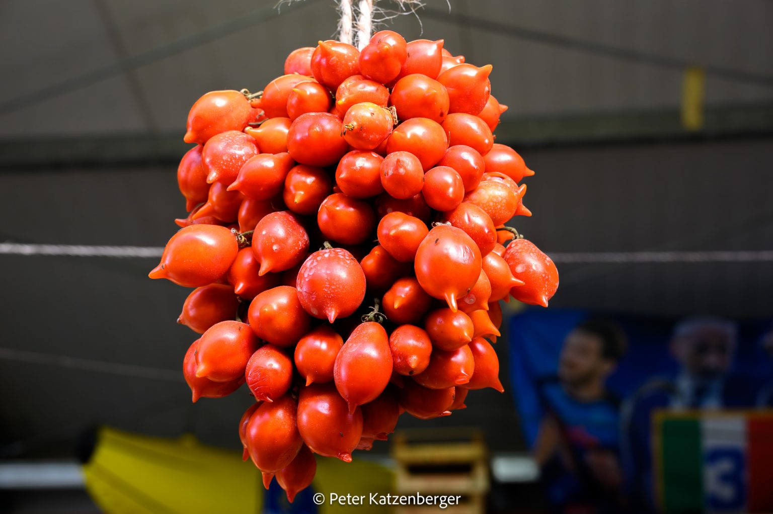 Pozzuoli Bistro Global